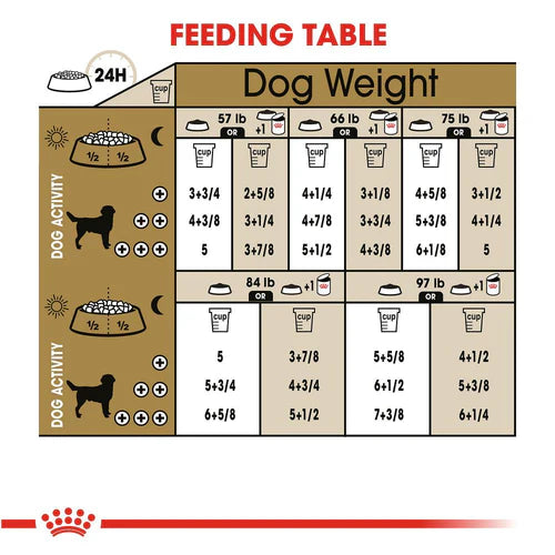 Adult Dry Dog Food - 30lb - Royal Canin