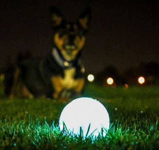 Bouncy Balls - Ball for Dogs - 2.5 Inch, Pack of 2 - Chuckit!