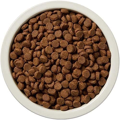 Wag Dry Dog Food Salmon & Sweet Potato - 24lb - Wag