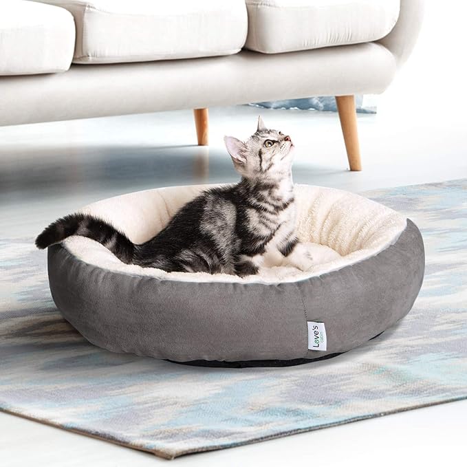 Cat Bed and Cushion