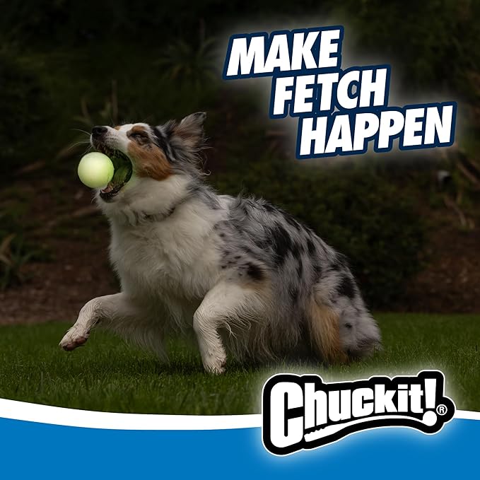 Bouncy Balls - Ball for Dogs - 2.5 Inch, Pack of 2 - Chuckit!