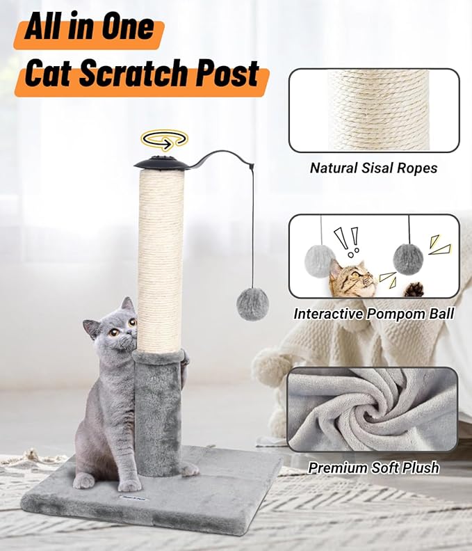 Cat Scratching Posts