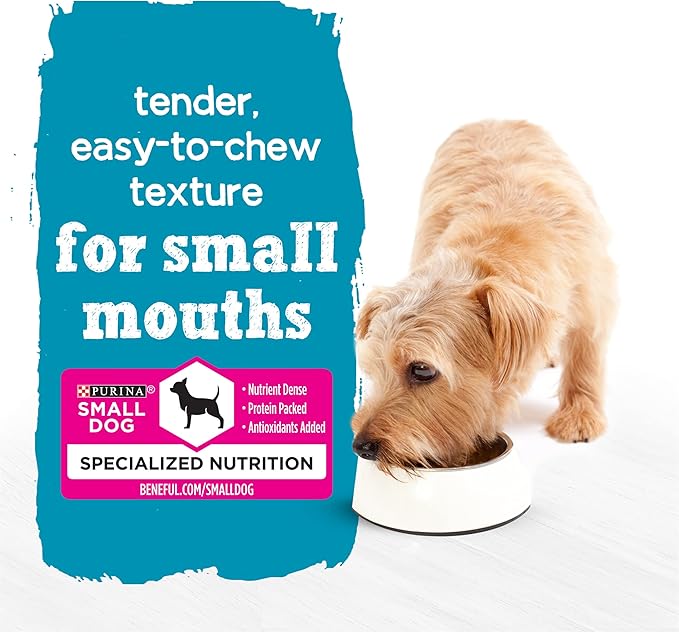 Pate Wet Dog Food for Small Dogs - 100gr - Purina