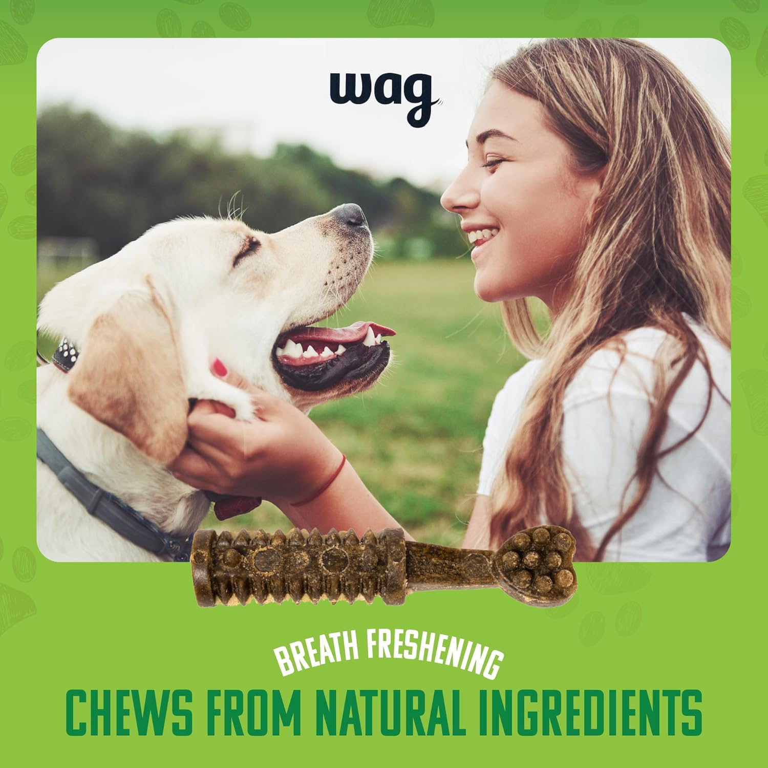 Dental Dogs Treat to Help Clean Teeth & Freshen Breath - Wag