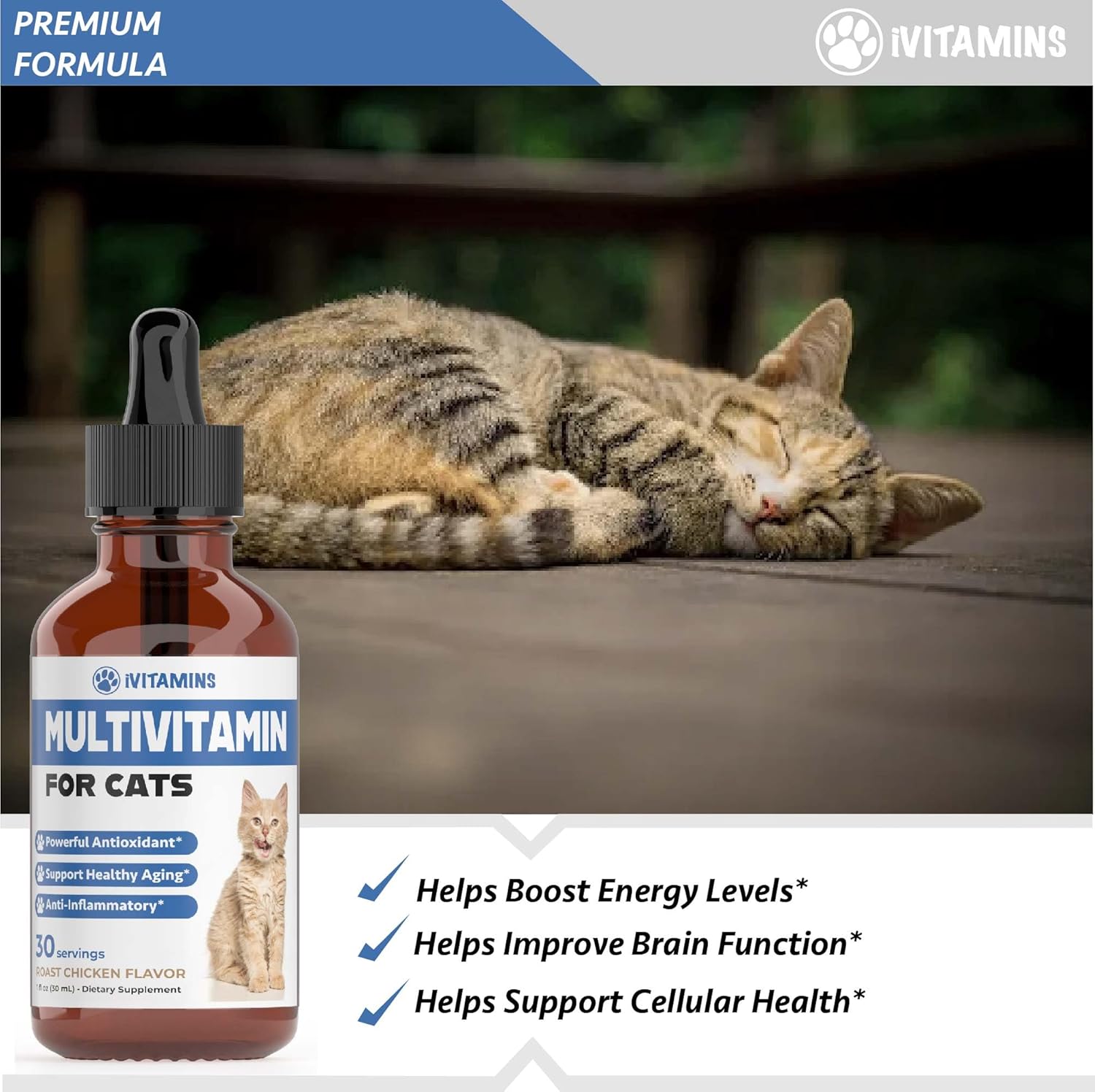 Cat Multivitamin - Supports Immune Health, Skin, Coat, Heart Health & More - Ivitamins