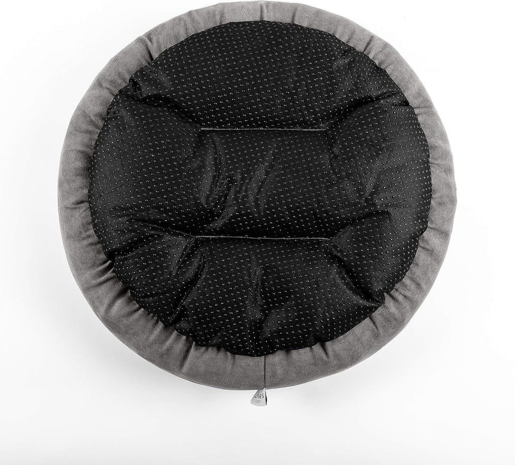 Cat Bed and Cushion