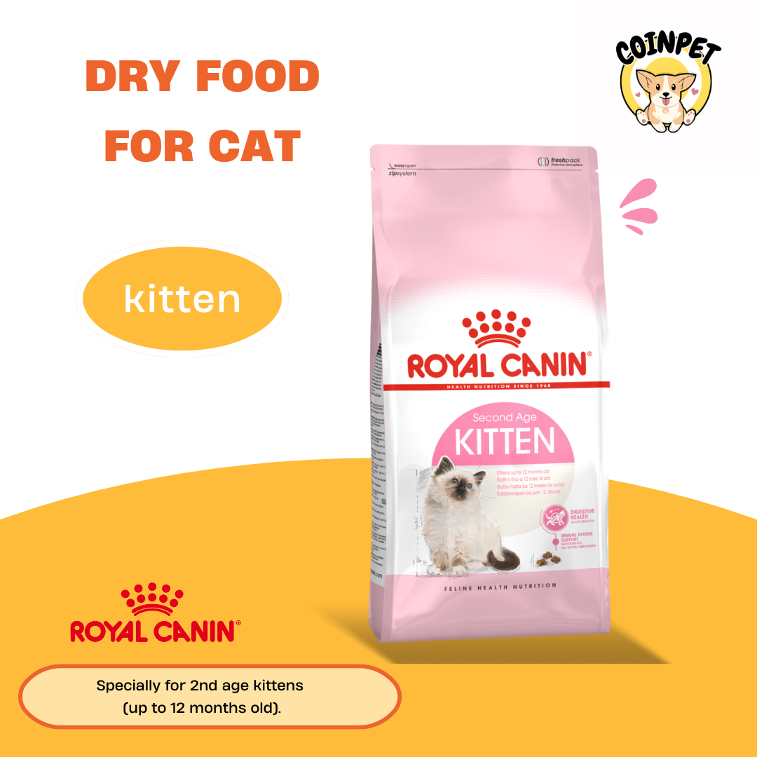 Dry Food For Kittens - Royal Canin