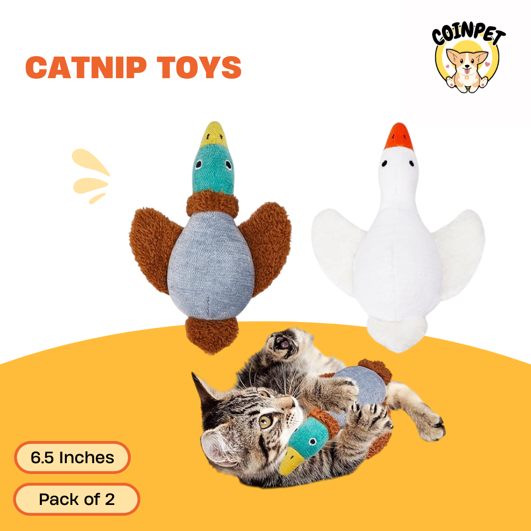 Catnip Toys - Potaroma Birds - 6.5 Inches, Pack of 2