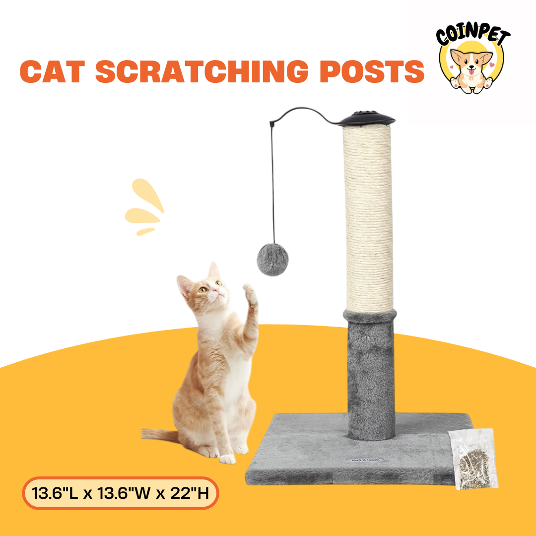 Cat Scratching Posts