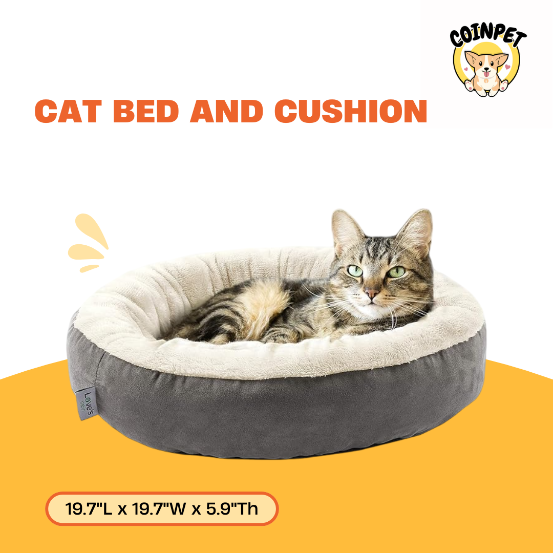 Cat Bed and Cushion