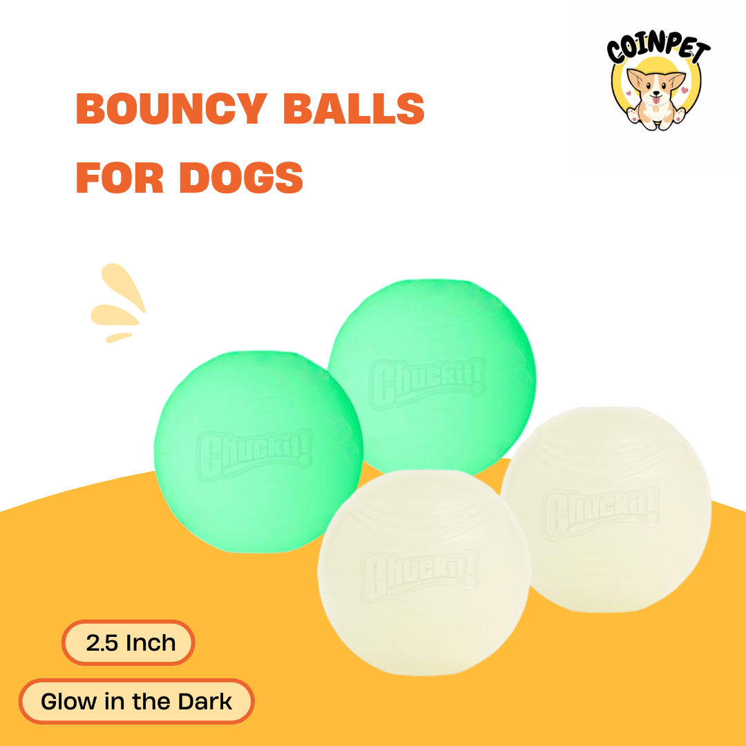 Bouncy Balls - Ball for Dogs - 2.5 Inch, Pack of 2 - Chuckit!