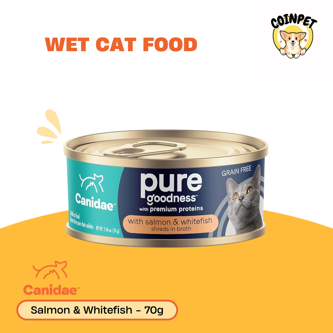 Wet Food For Cats - 70g - Canidae
