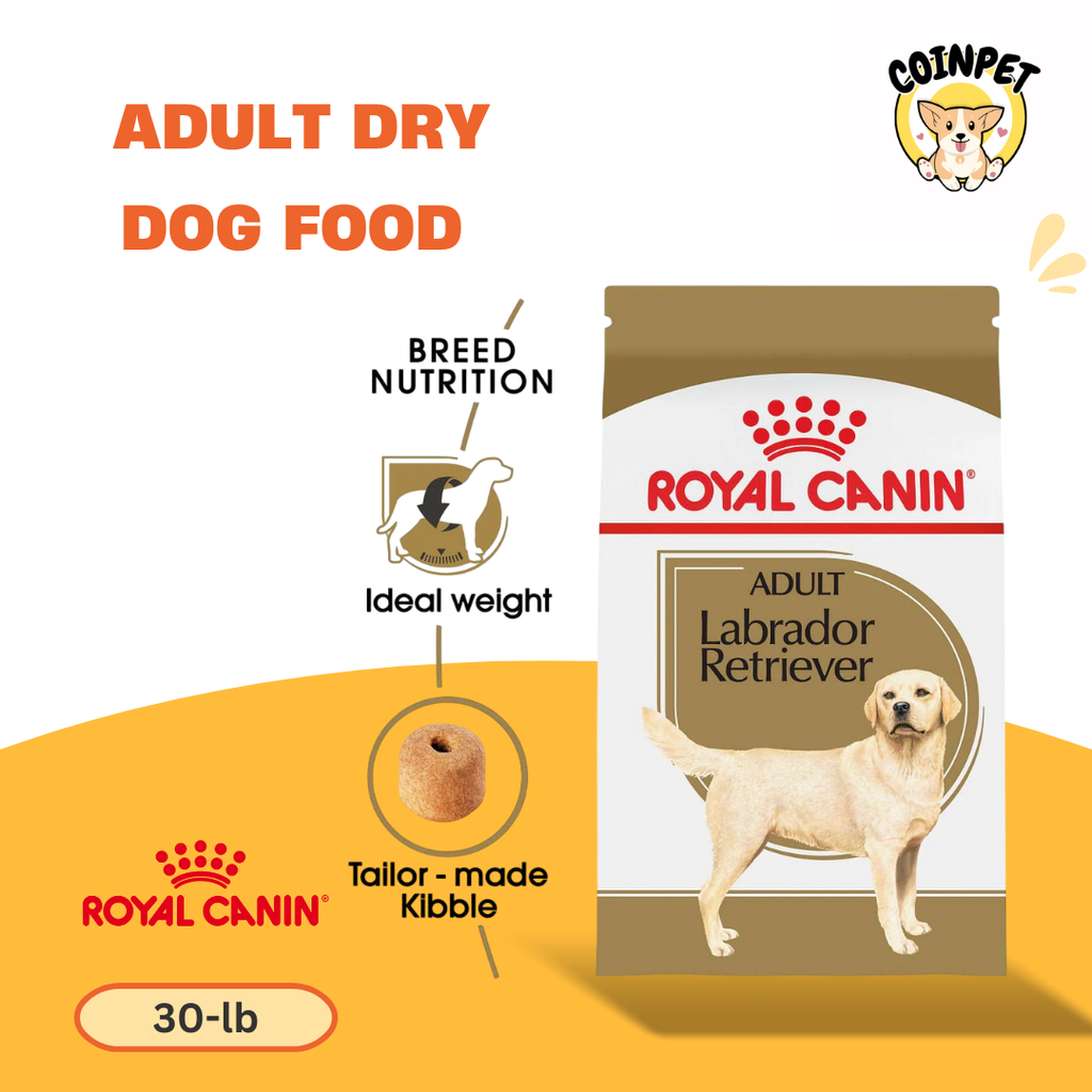 Adult Dry Dog Food - 30lb - Royal Canin