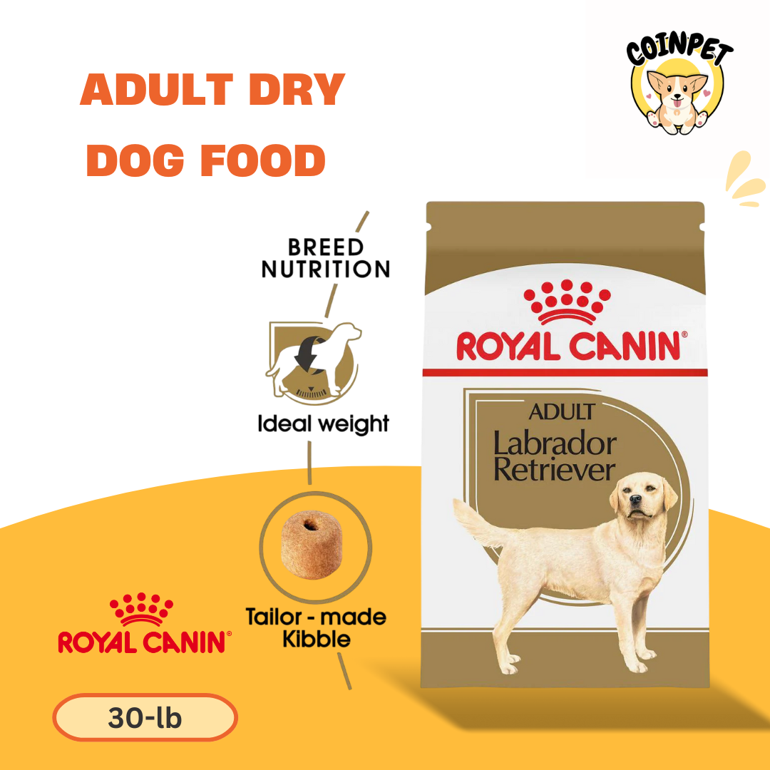 Adult Dry Dog Food - 30lb - Royal Canin