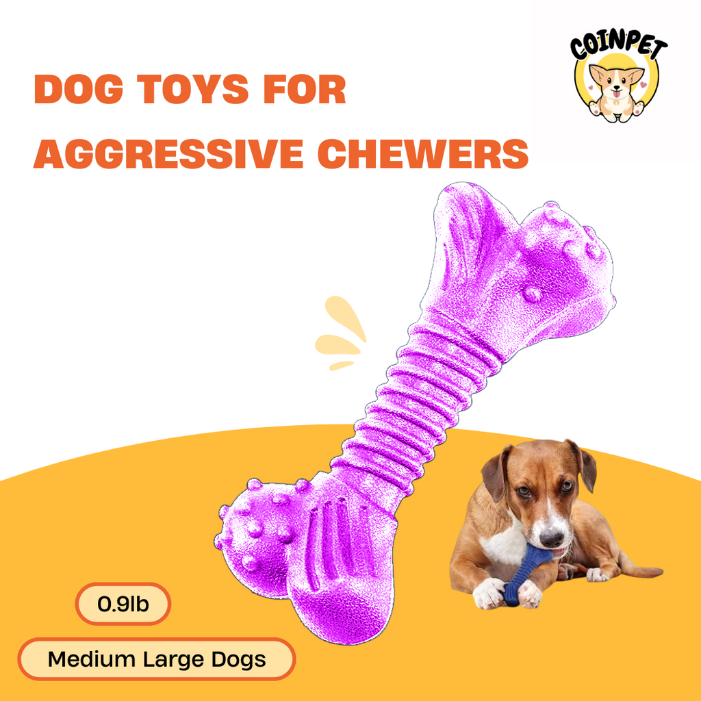 Dog Toys for Aggressive Chewers - Beef Flavor