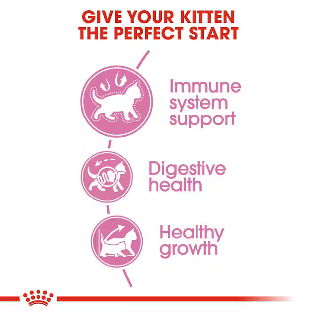 Dry Food For Kittens - Royal Canin